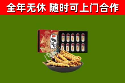 唐市回收冬虫夏草价格